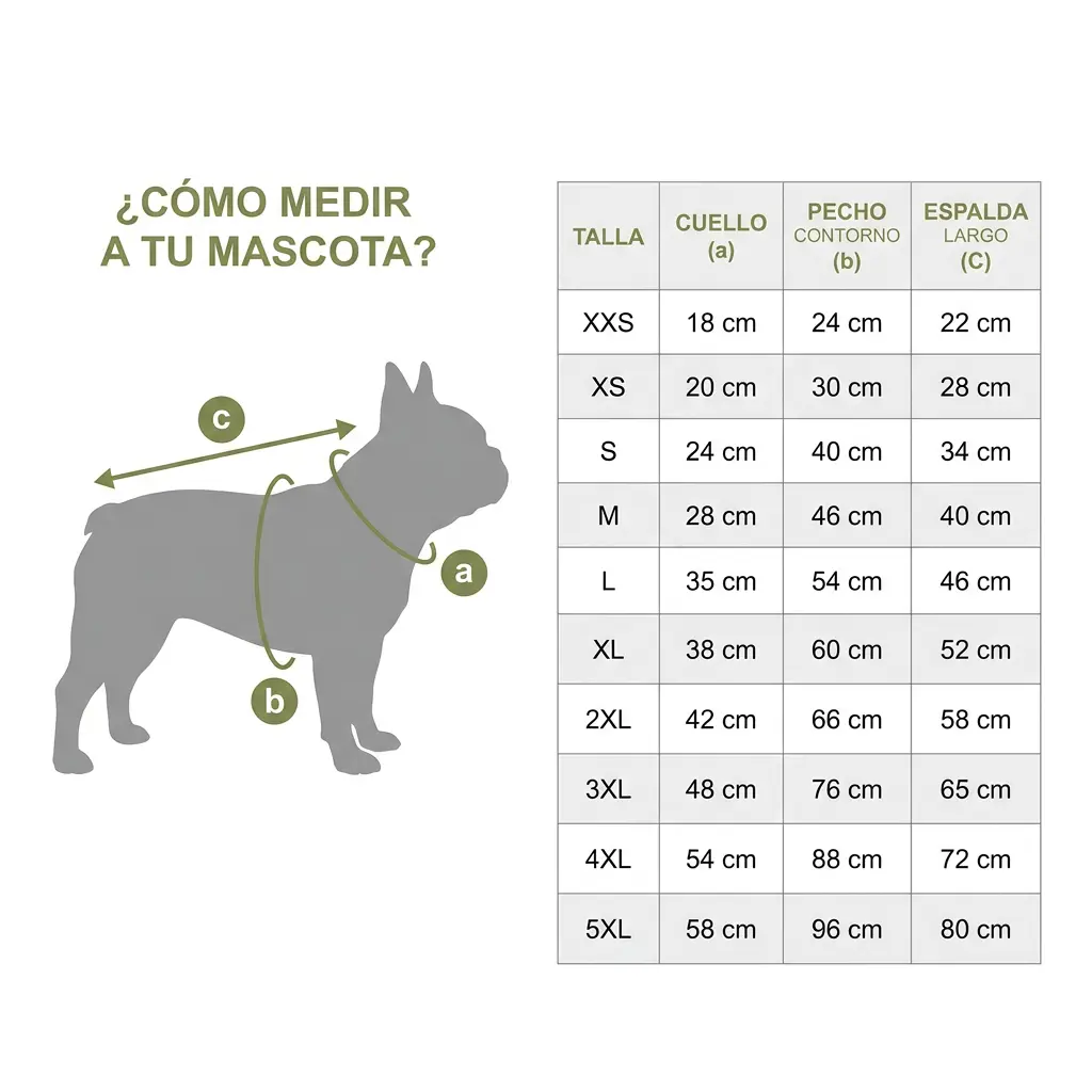Guia de tallas.webp