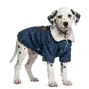 image (21).webp