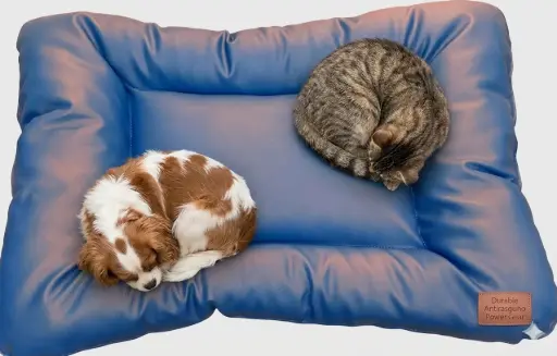 Cama colchoneta antirasguños