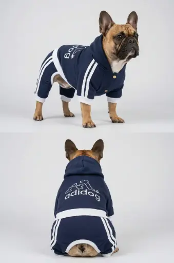 Buzo Adidog Dakota